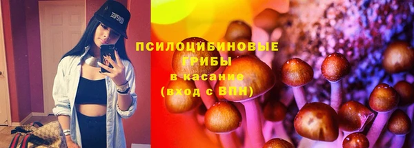 прущие крисы Михайлов