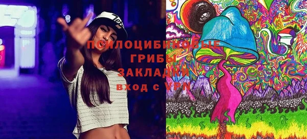 гидропоника Белокуриха