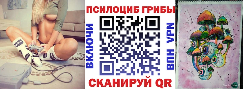 где купить   Нестеров  Псилоцибиновые грибы Magic Shrooms 